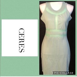 NWT Ceres Vintage Inspired Sage Colored Mesh Dress